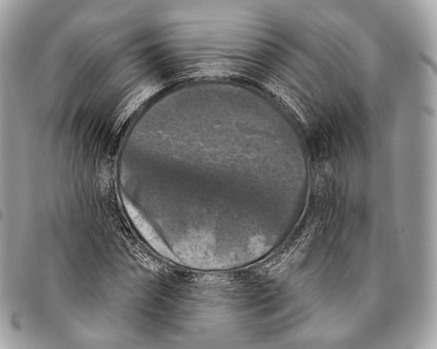 X0000096410874200802141538