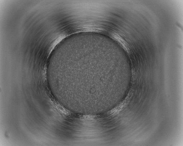 X0000096410875200802141538