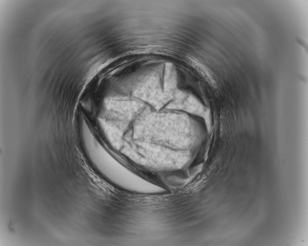 X0000096410876200802141538