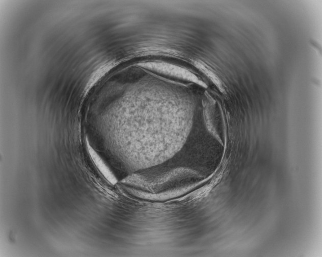 X0000096410877200802141538