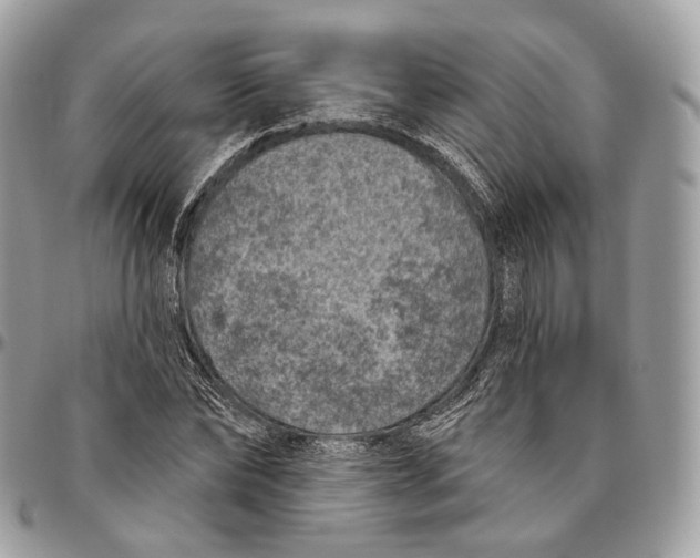 X0000096410878200802141538