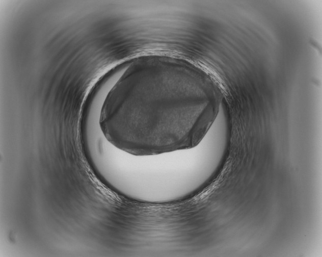 X0000096410880200802141538