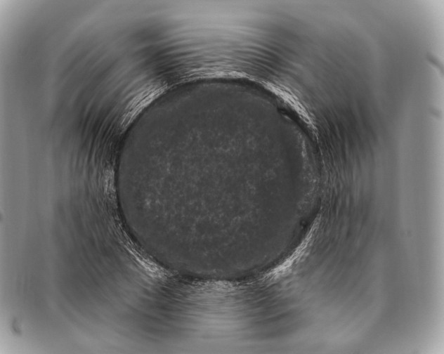 X0000096410881200802141538