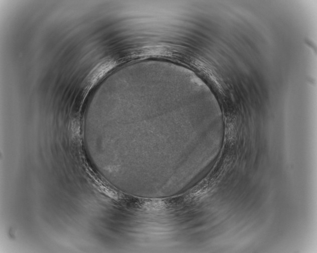 X0000096410882200802141538