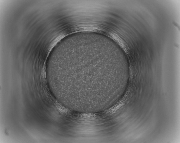 X0000096410883200802141538