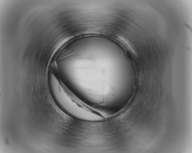 X0000096410884200802141538