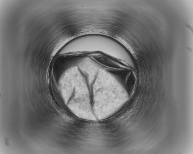 X0000096410885200802141538