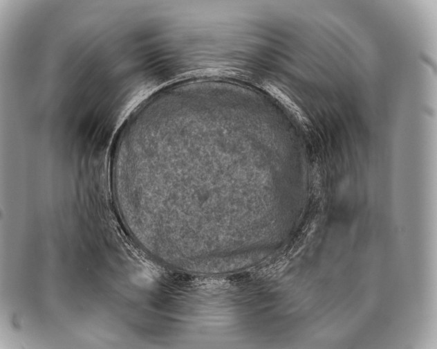 X0000096410886200802141538