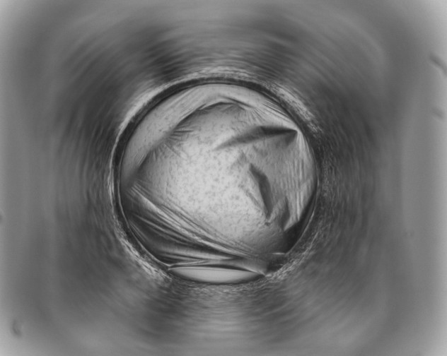 X0000096410888200802141538