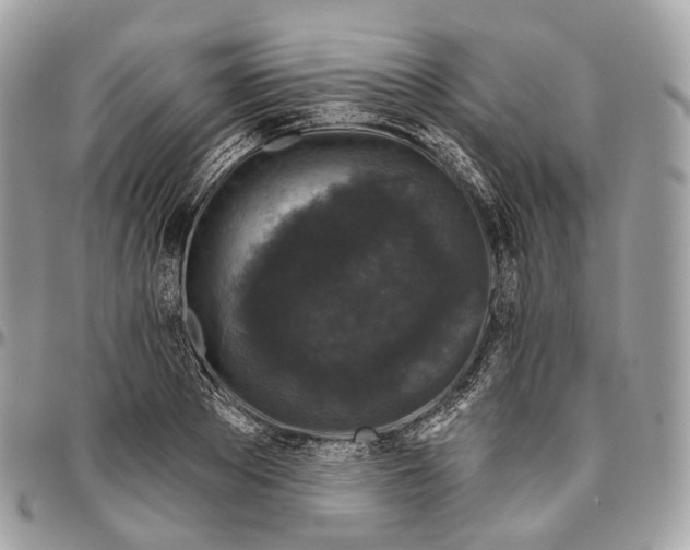 X0000096410889200802141538