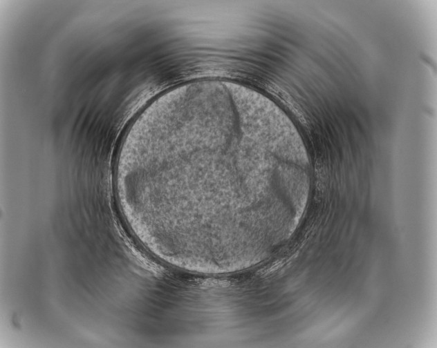 X0000096410890200802141538