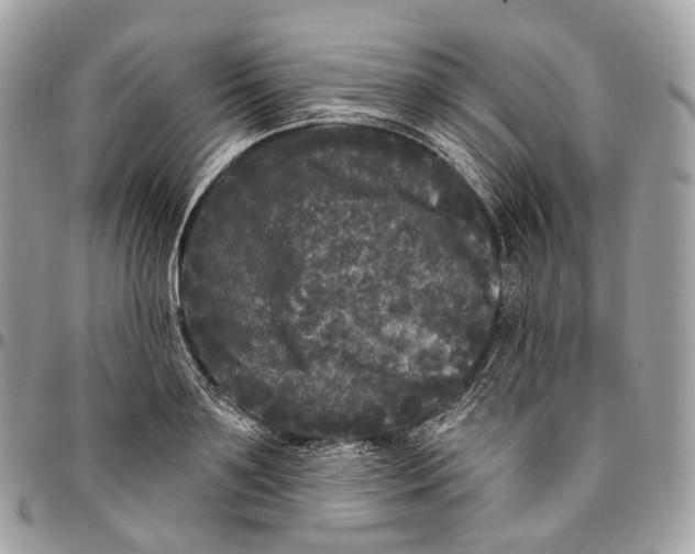 X0000096410891200802141538