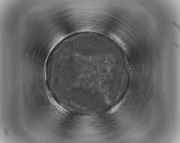 X0000096410892200802141538