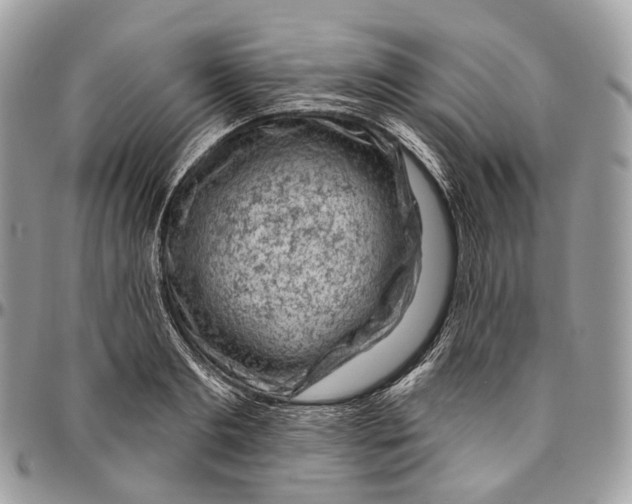 X0000096410893200802141538