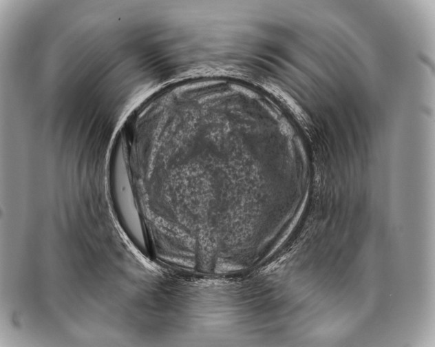 X0000096410894200802141538