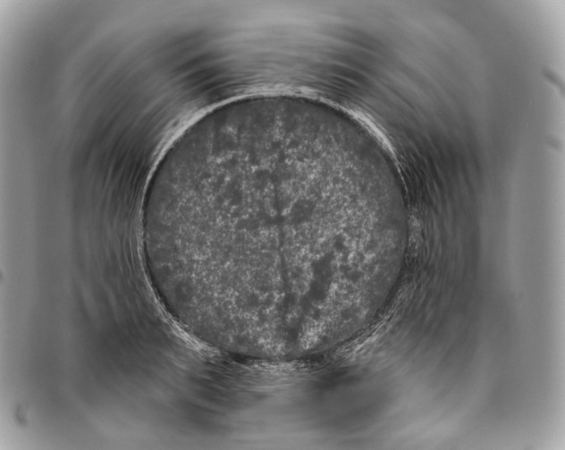 X0000096410895200802141538