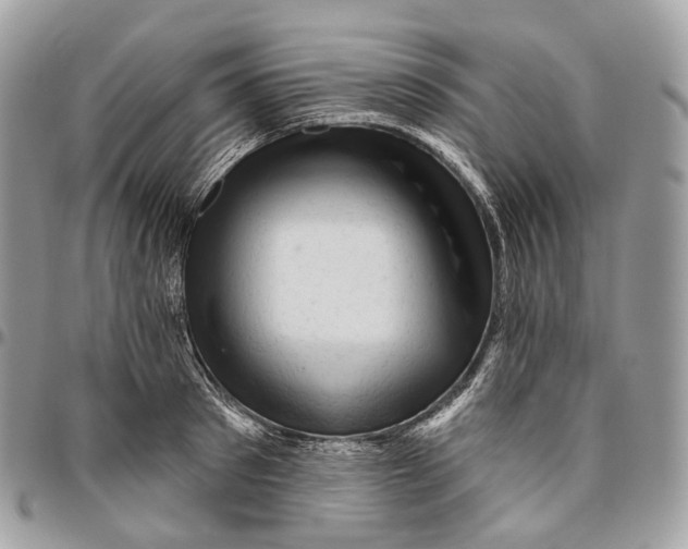 X0000096410897200802141538