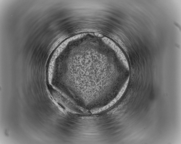 X0000096410898200802141538