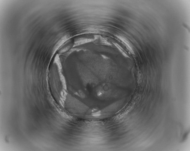 X0000096410899200802141538