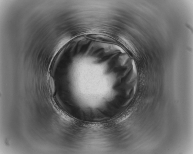 X0000096410900200802141538