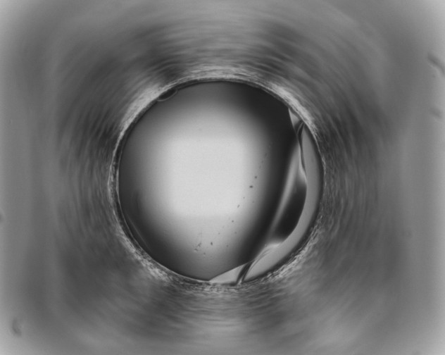 X0000096410901200802141538