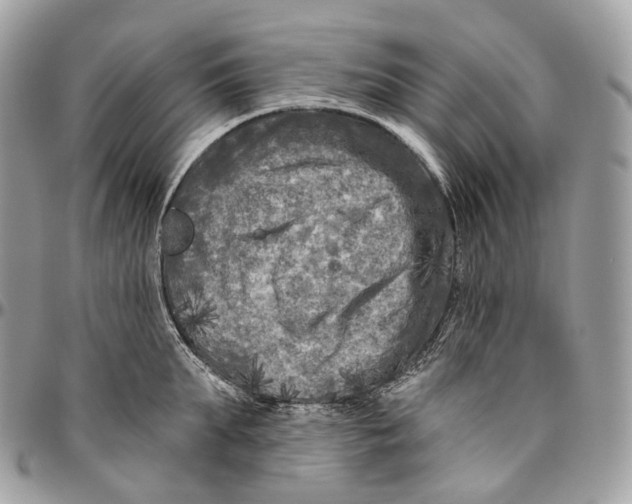 X0000096410903200802141538