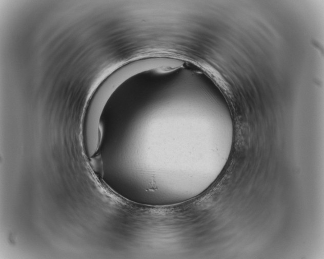 X0000096410904200802141538