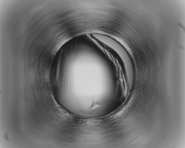 X0000096410905200802141538