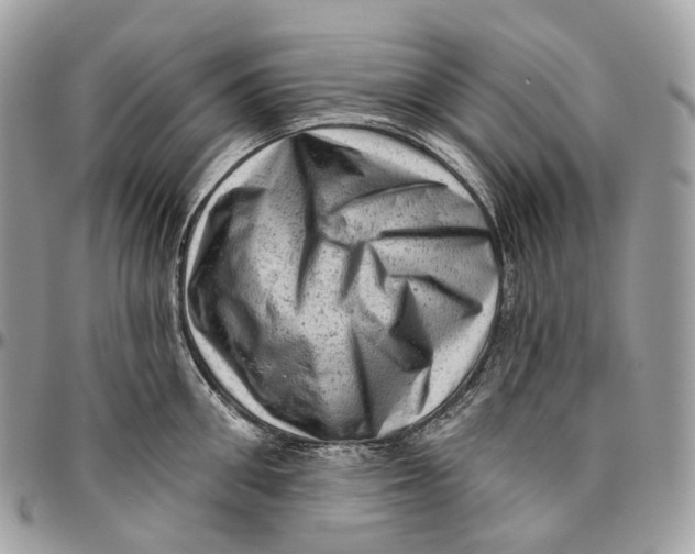 X0000096410906200802141538