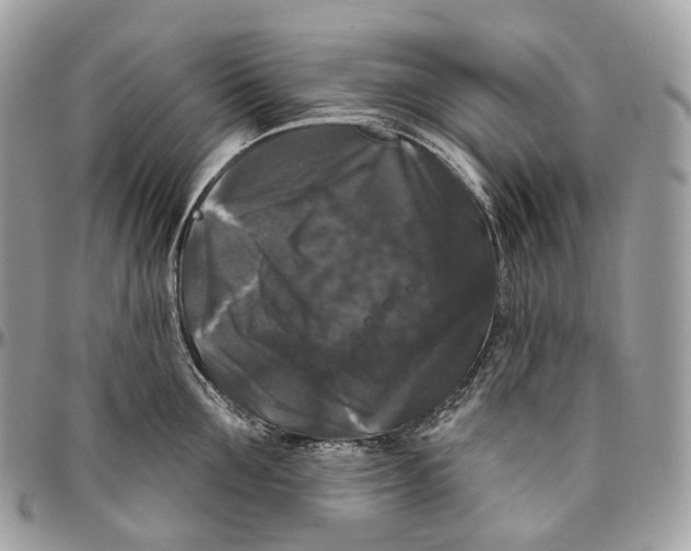 X0000096410907200802141538