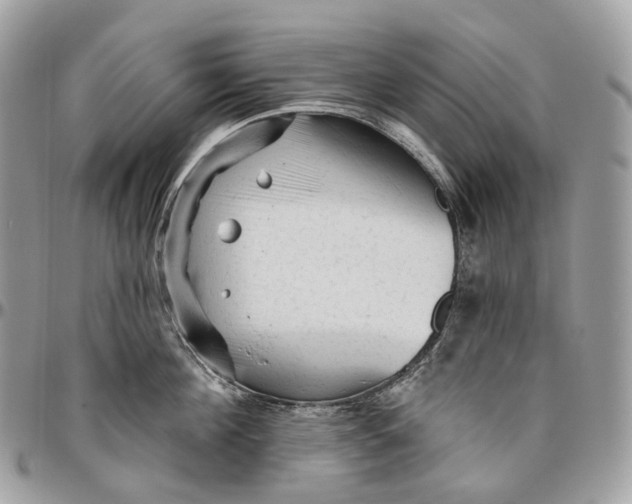 X0000096410908200802141538