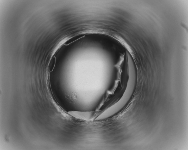 X0000096410909200802141538