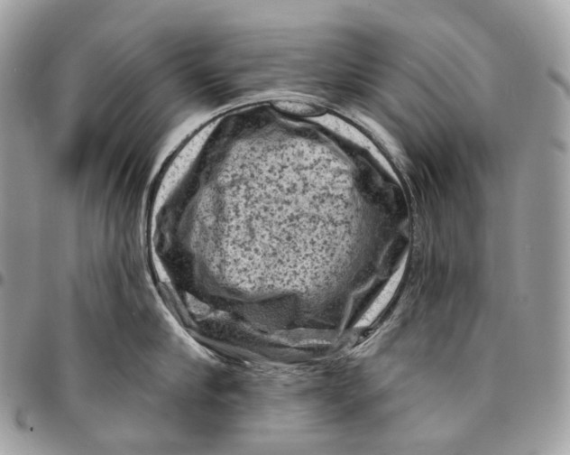 X0000096410910200802141538