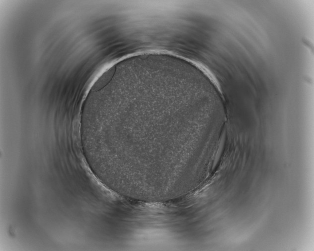 X0000096410911200802141538