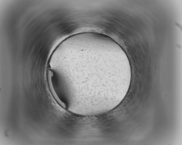 X0000096410912200802141538