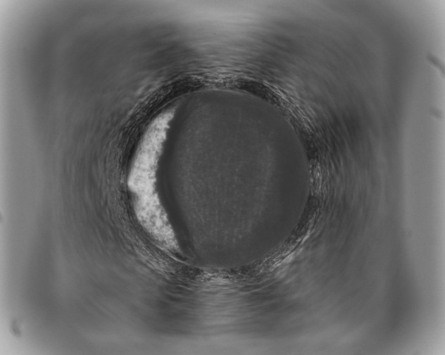 X0000096410913200802141537