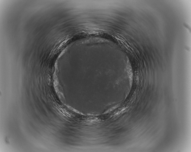 X0000096410916200802141537