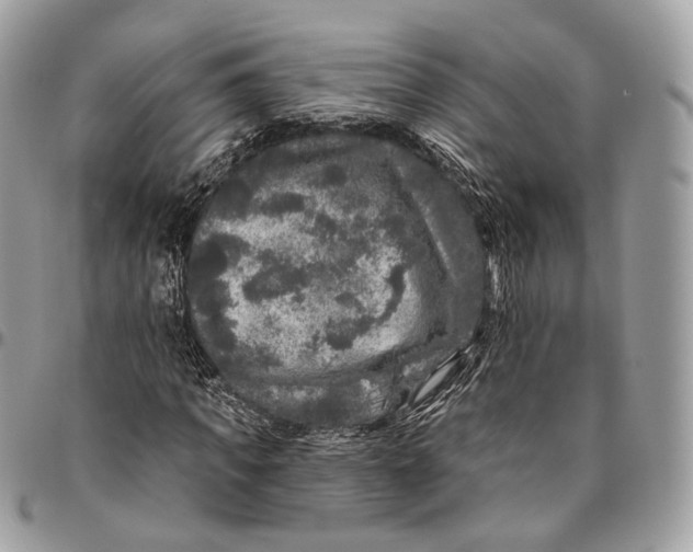 X0000096410917200802141537