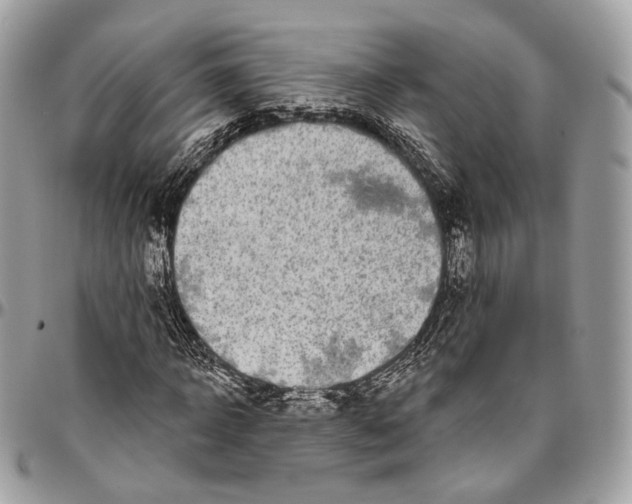 X0000096410918200802141537