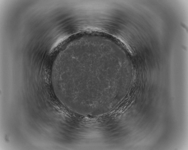 X0000096410919200802141537