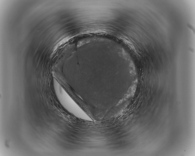 X0000096410920200802141537