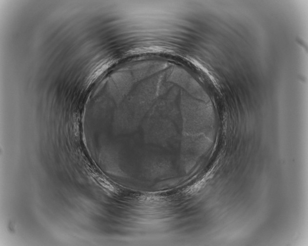 X0000096410921200802141537