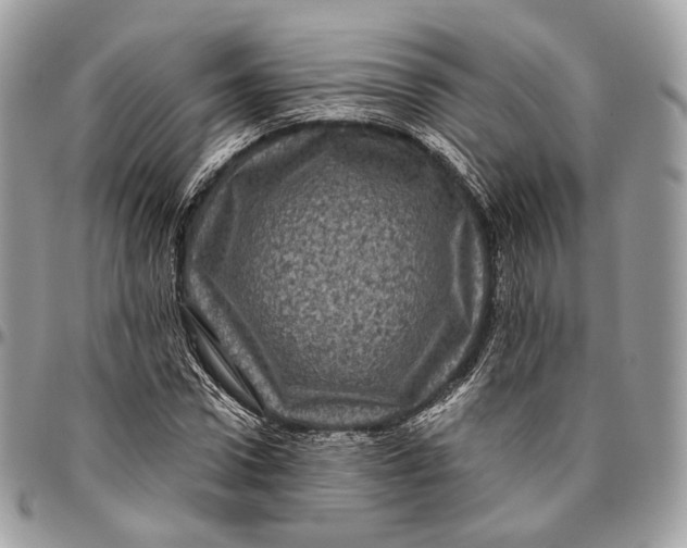 X0000096410922200802141537