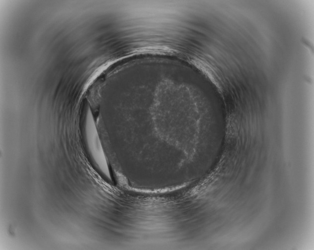 X0000096410923200802141537