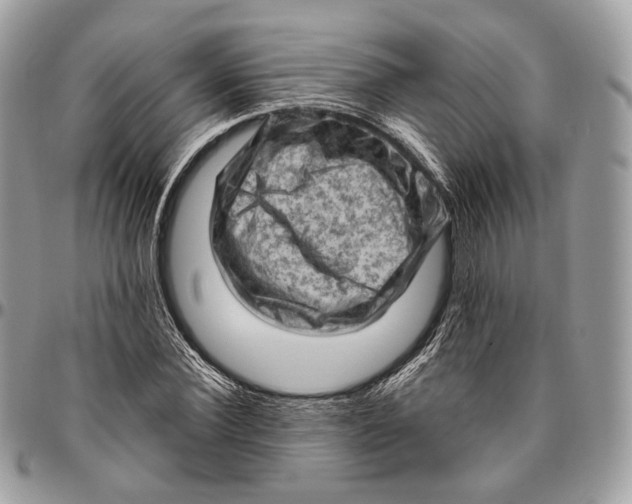 X0000096410924200802141537