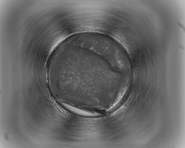 X0000096410925200802141537