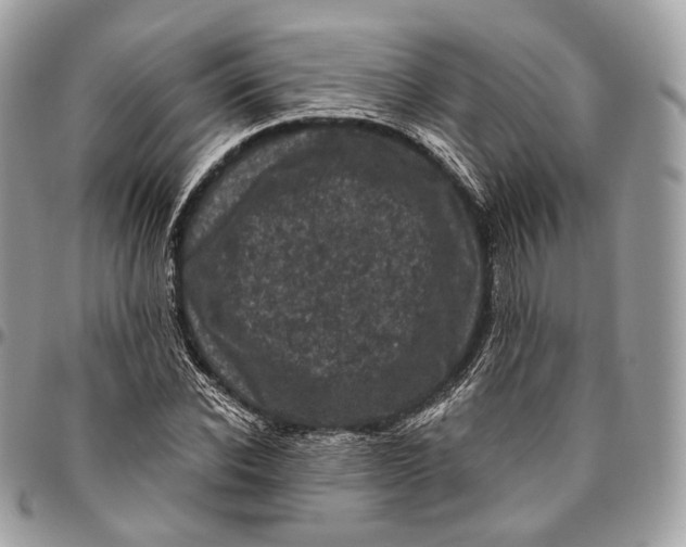 X0000096410926200802141537