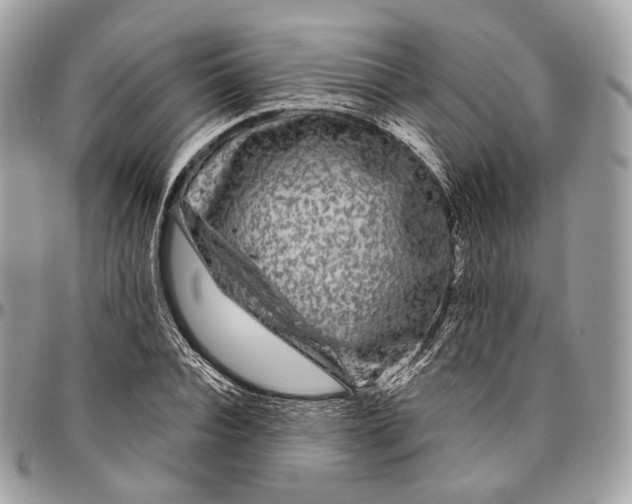 X0000096410928200802141537