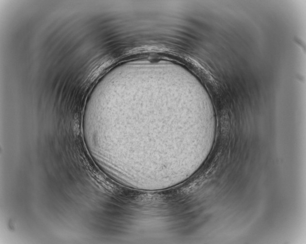 X0000096410929200802141537