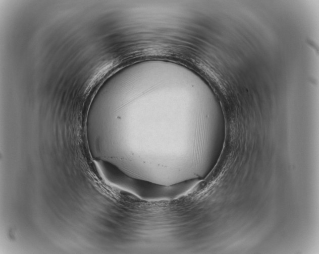 X0000096410930200802141537